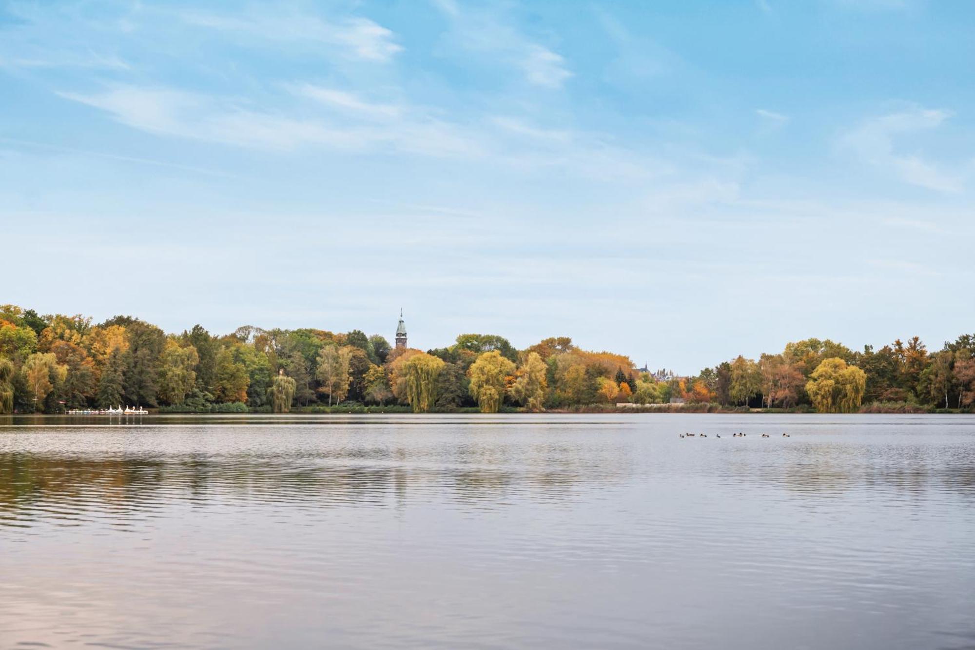Edler Wohnraum Schwanenteich-Oase Mit Balkon, Kaffeevollautomat, Lift & Parkplatz Apartment Zwickau Luaran gambar