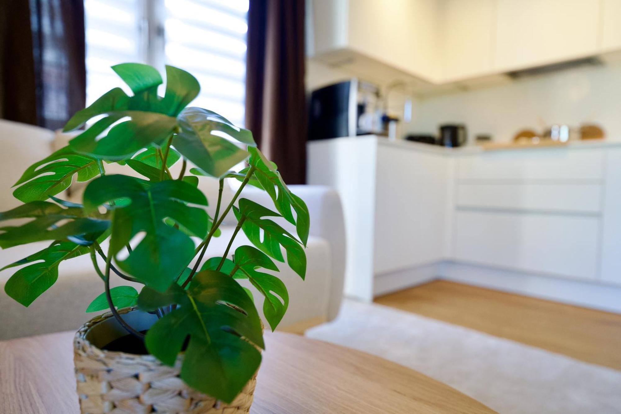 Edler Wohnraum Schwanenteich-Oase Mit Balkon, Kaffeevollautomat, Lift & Parkplatz Apartment Zwickau Luaran gambar